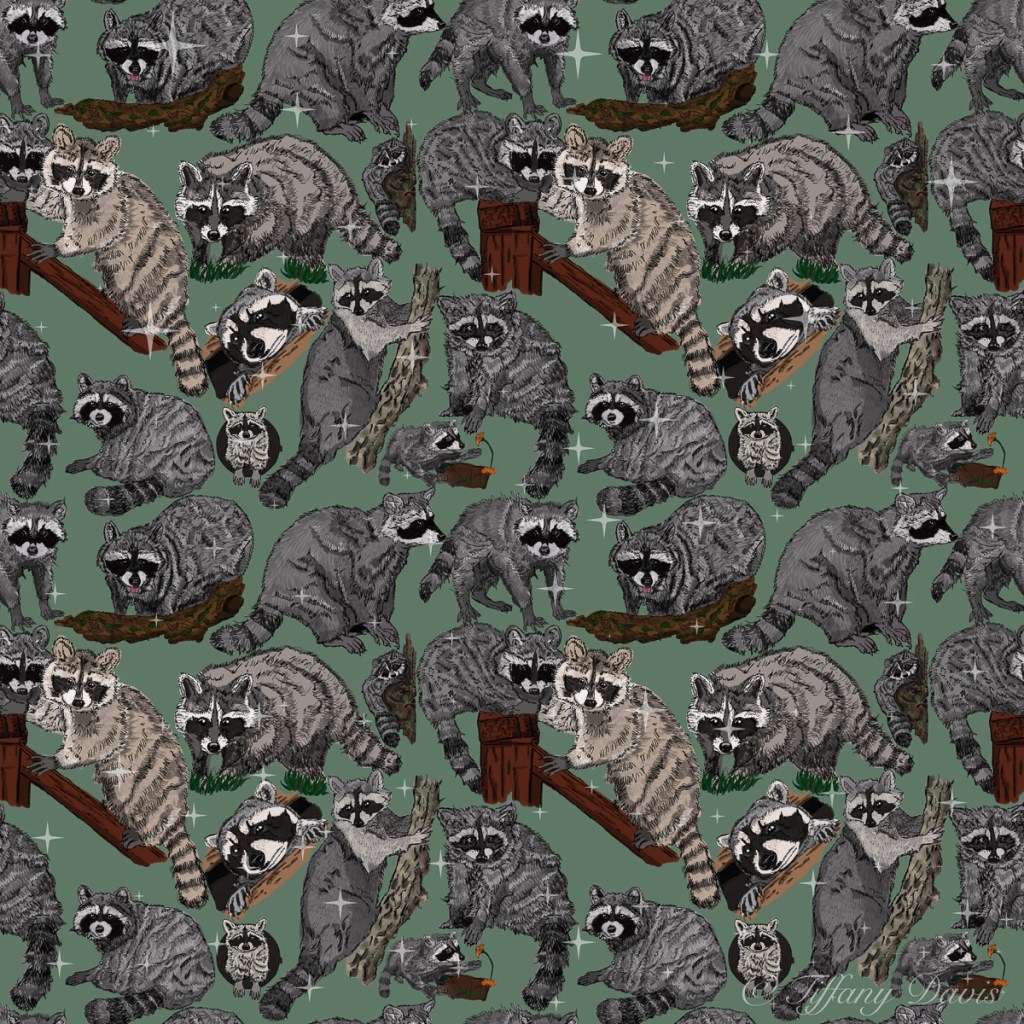 Multiple raccoons in various poses